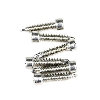철강 구조 자체 뚫기 터핑 나사 M6x25mm 톡스 Fillister 설치와 함께