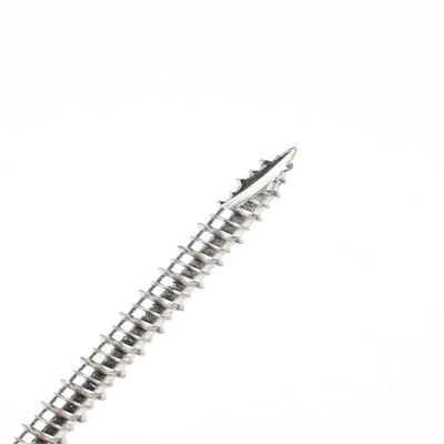 60mm 스테인리스 스틸 비스 토크스 드라이브와 필립스 세척자 헥스 헤드